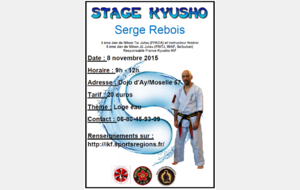 Stage Kyusho le 08 novembre 2015