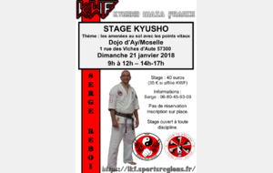 Stage Kyusho à Ay / Moselle